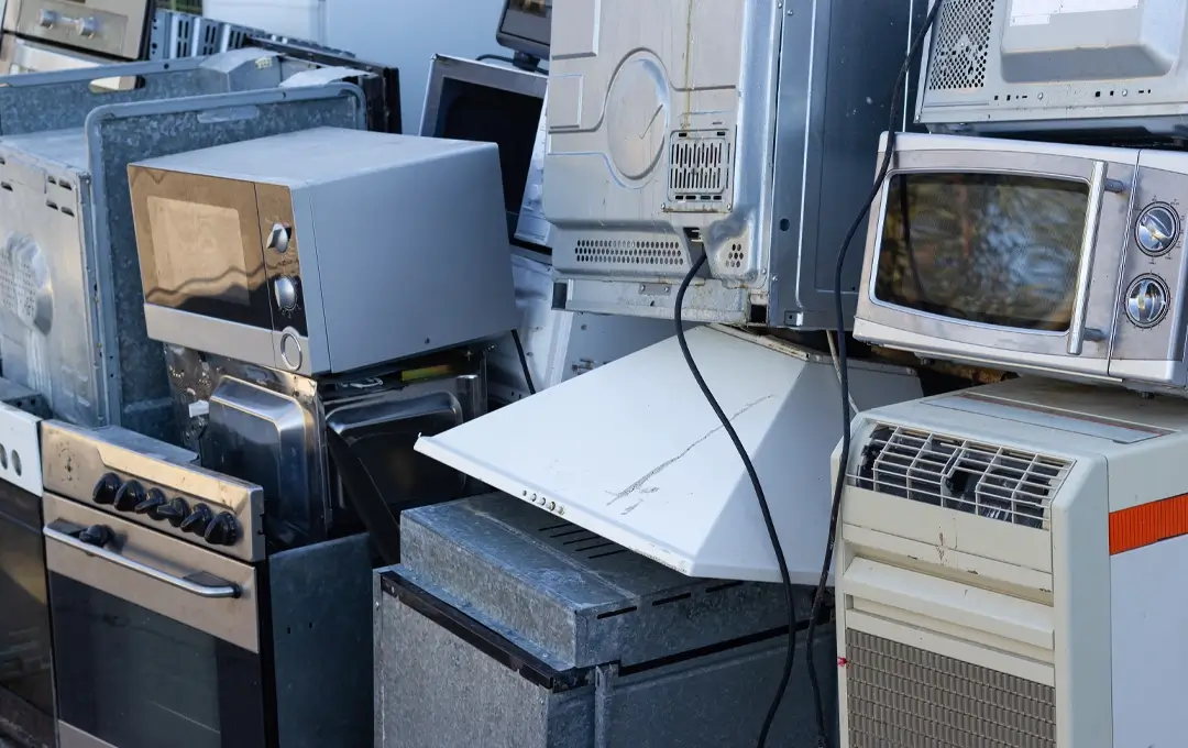 Image of Appliance Collection